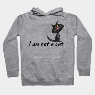 I am not a cat Hoodie